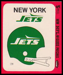80FTAS New York Jets Helmet.jpg